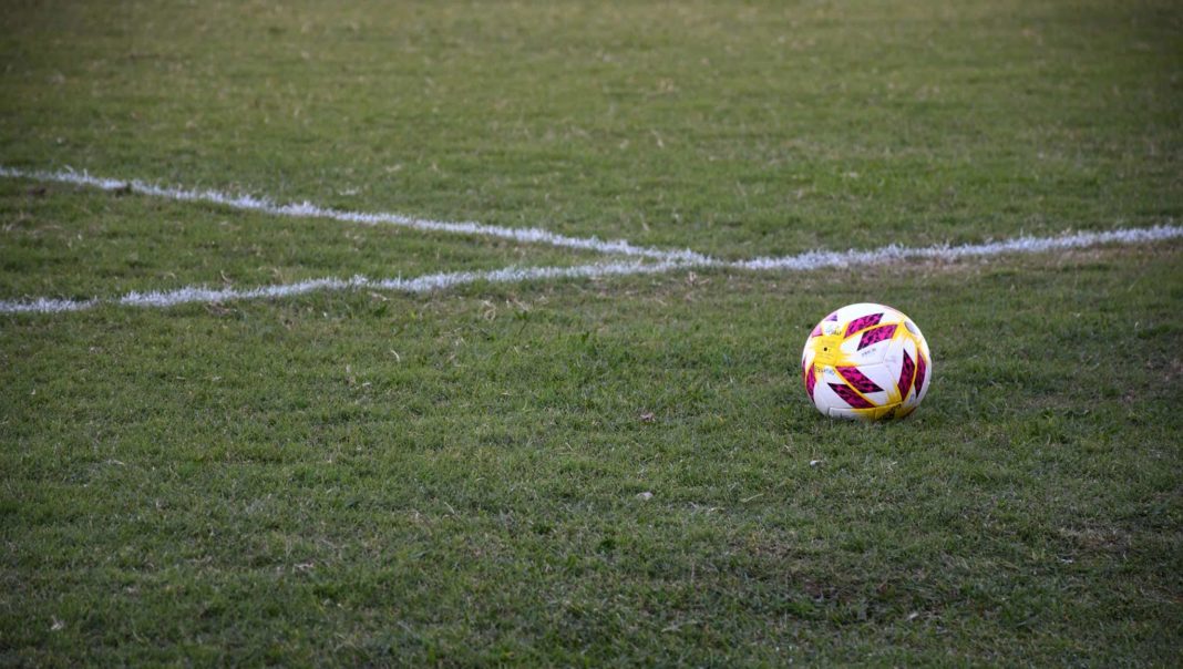 pelota