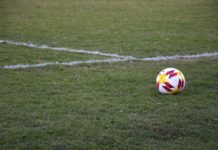 pelota